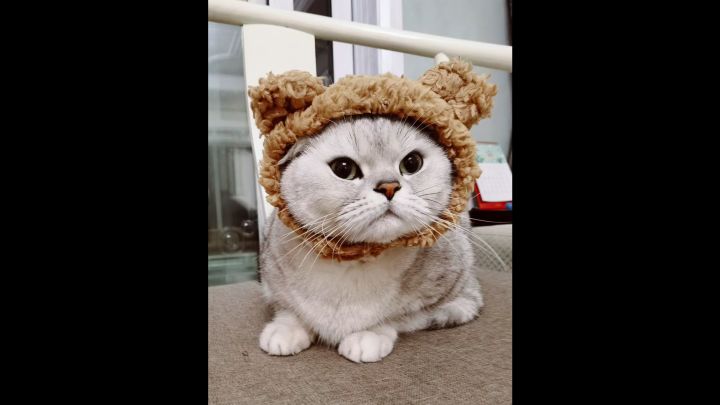 🧏‍♀️这操作～应该是最菜恶魔术士啦🥹截图
