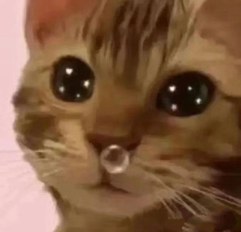 房子没了!!! 2