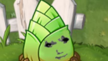 锐评一下植三基坝植物们