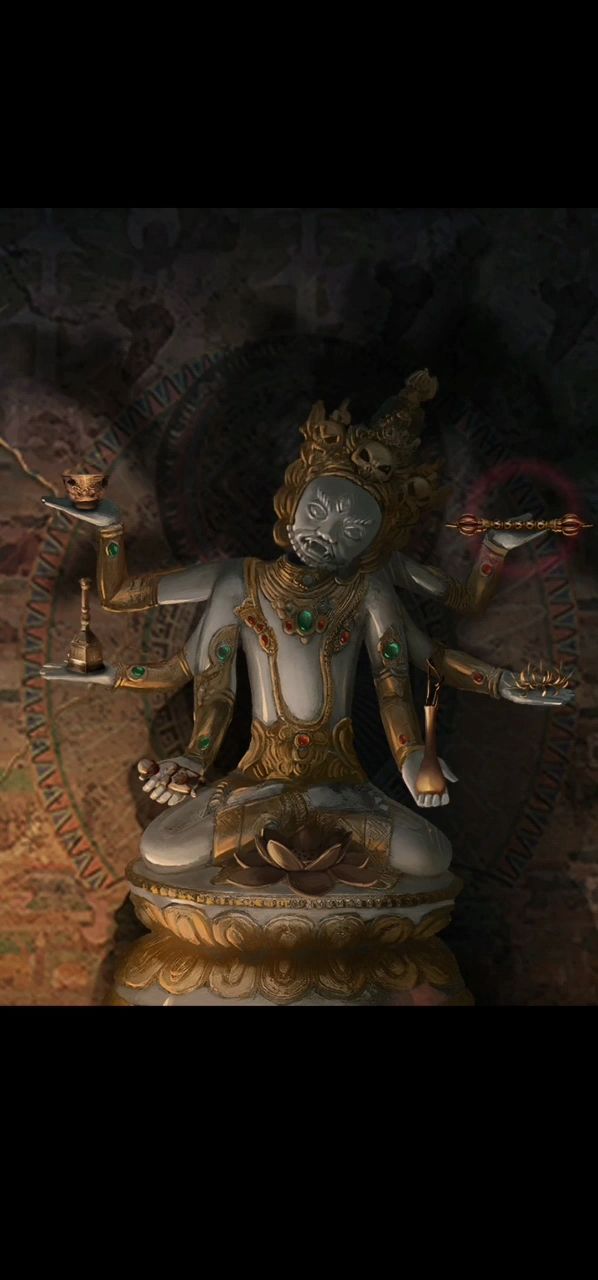 动态图片 3