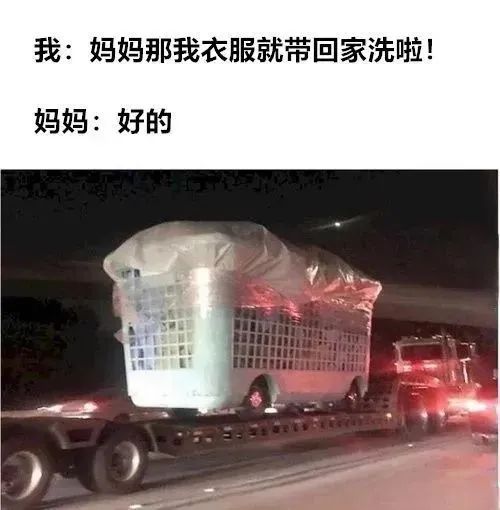 ✨今日份梗图分享第五十七期✨ 2