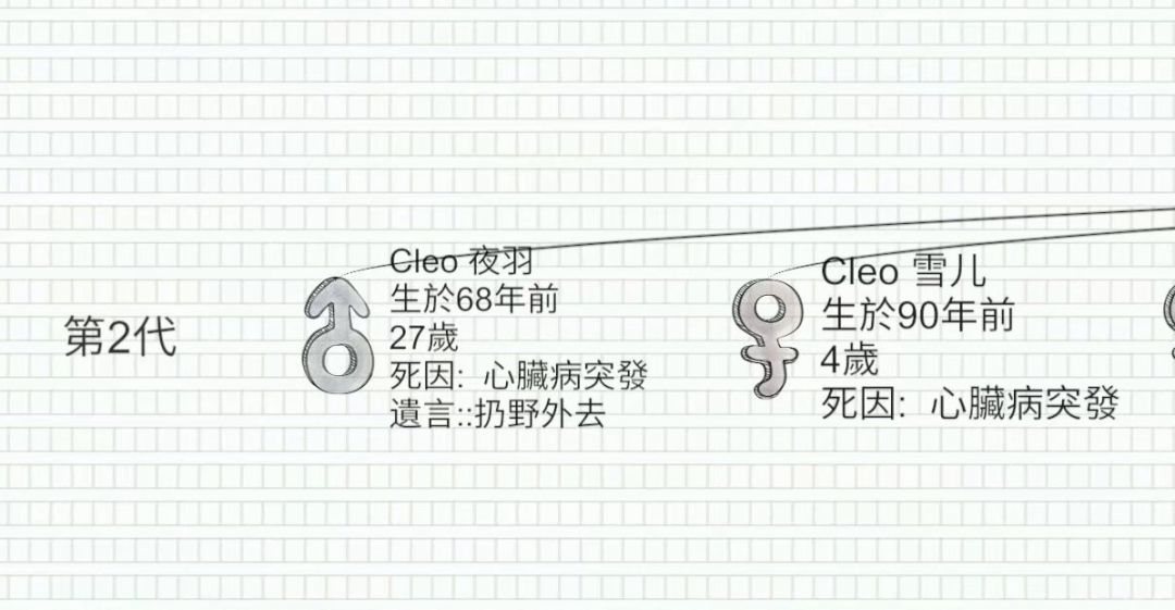 时隔三年,再不会成为女娲 4
