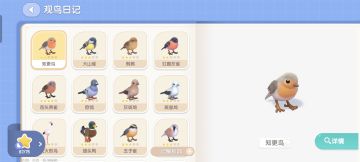 浅谈拍鸟的一些心得（针对入门玩家）