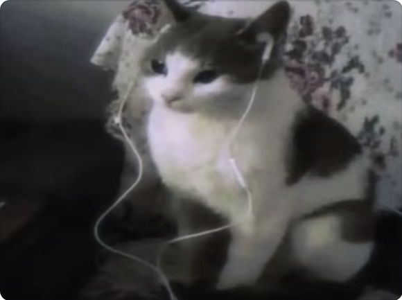215069576073 来点好友拜托了 2