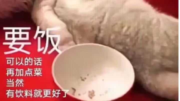各位大佬，帮我看看还有哪些角色是很必要练的？截图