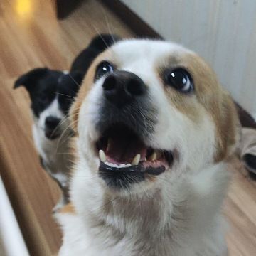 对武功进阶系统的期待和预期