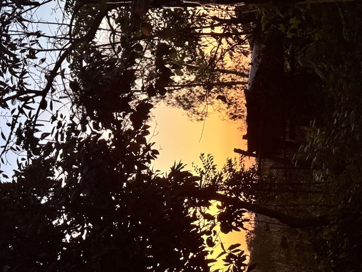 夕阳西下截图