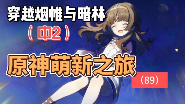 从零开始玩【原神】89:穿越烟帷与暗林(中2)截图