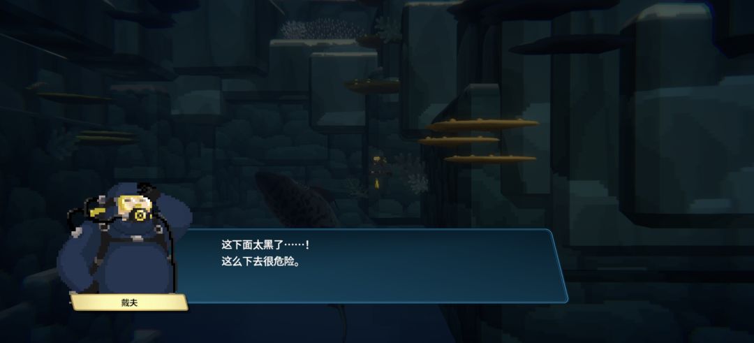 大白鲨 1