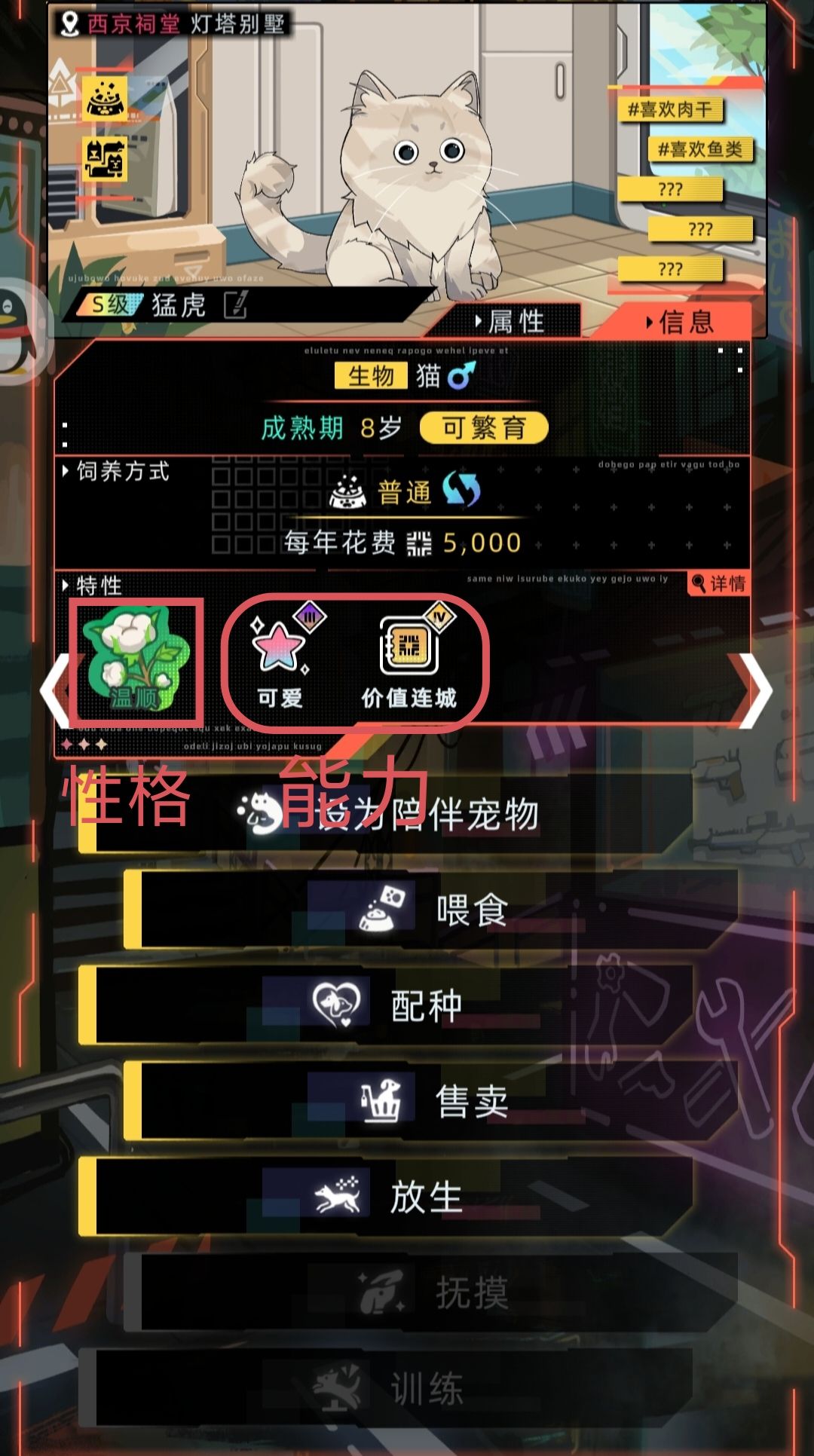 粗简的懒人养猫攻略,包看包会的~ 2