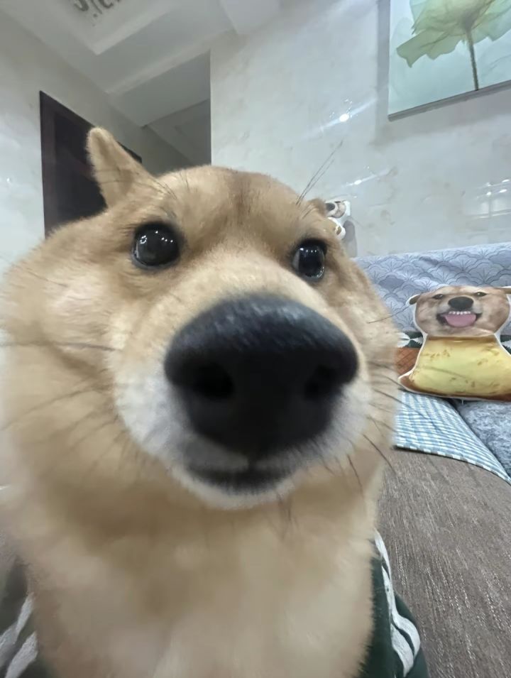 抽错池子了截图