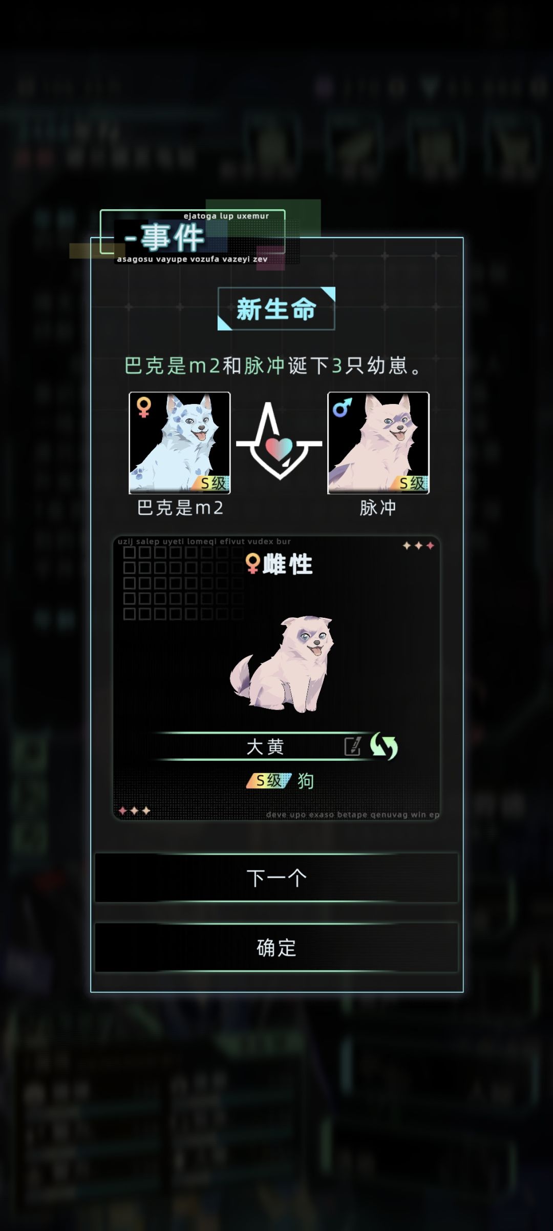 哇塞两胎都是三只狗! 4