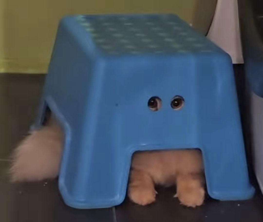 V区联盟招人,本期排名:33 3
