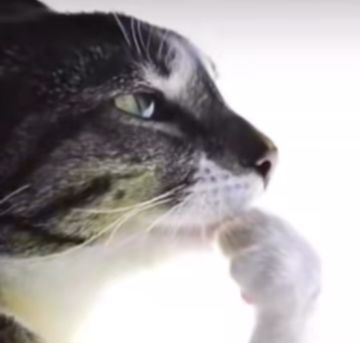 10月23日保底2w幻境，能过就行