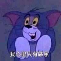 保底紫怎么附加没了!!?? 1