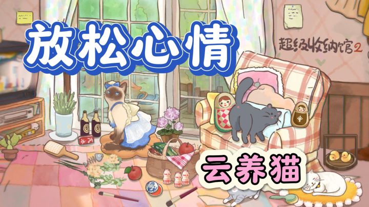 强迫症福音!《超级收纳馆2》让你欲罢不能!截图