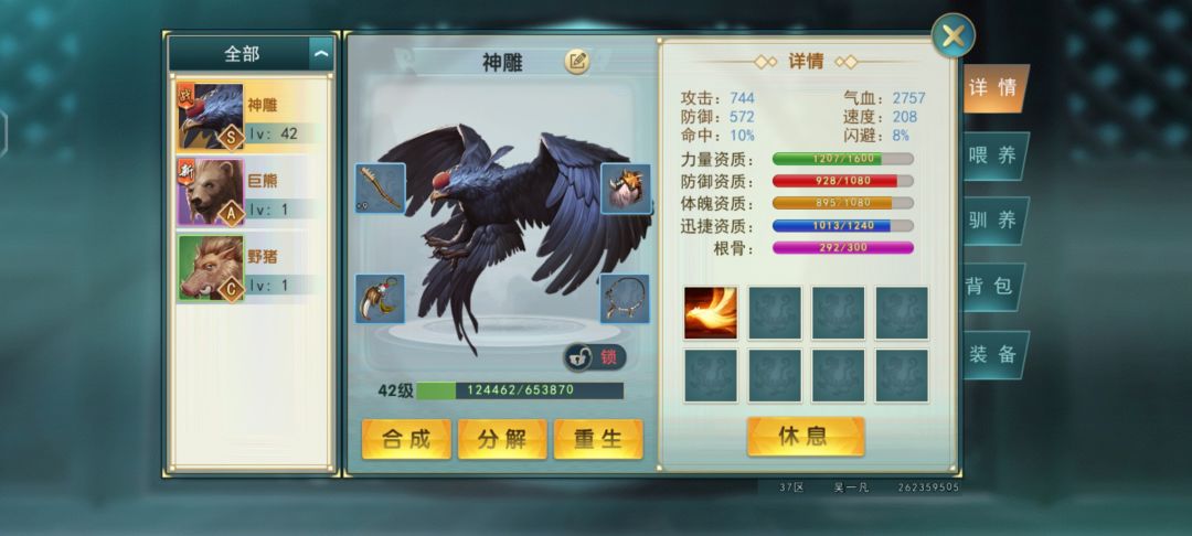 动态图片 2