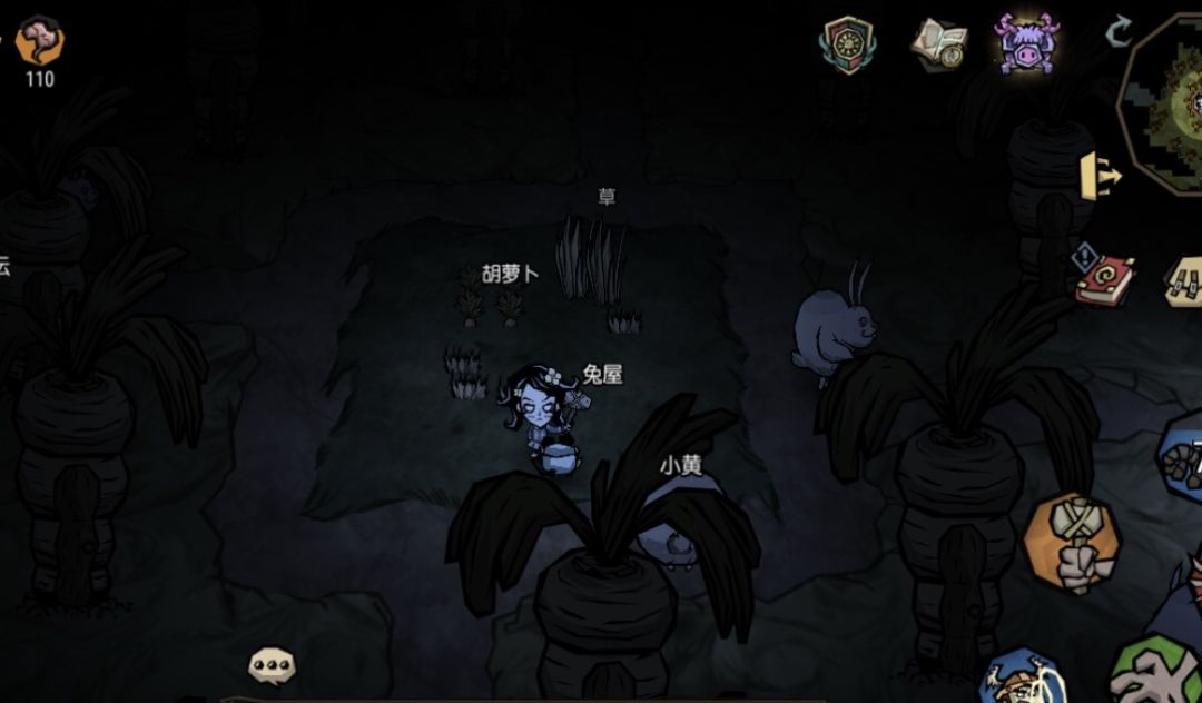 兔兔可爱 3