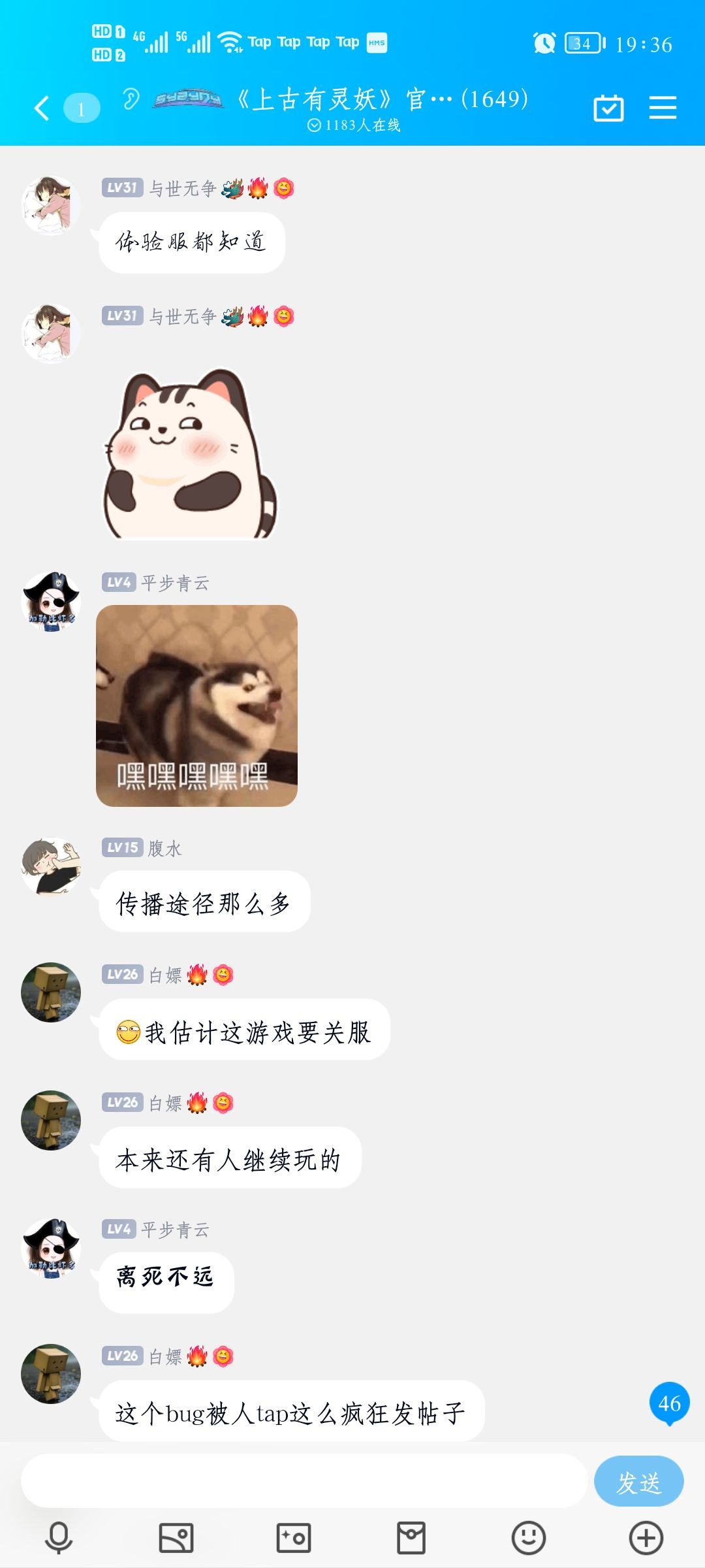 动态图片 8