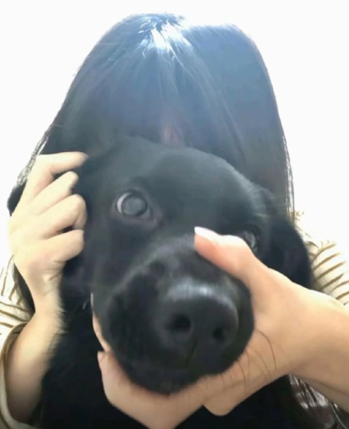 希望你们不要不识抬举截图