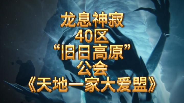 龙息神寂-40区“旧日高原”公会《天地一家大爱盟》截图