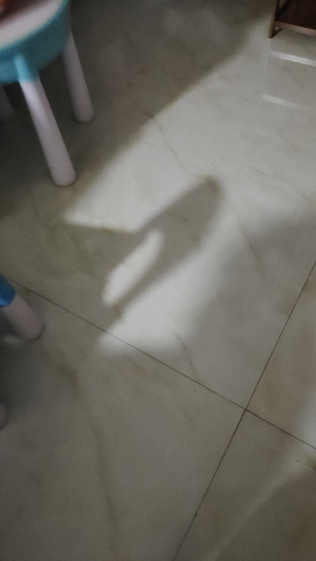 动态图片 7