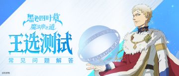 「王选测试」常见问题解答