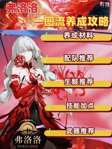 鸣潮v2.5版本弗洛洛养成攻略，一图流速速码