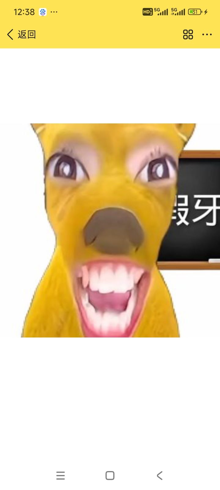 总结摸金模式截图
