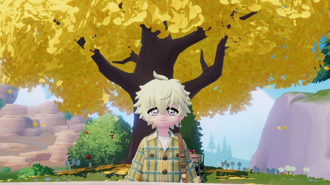 四季✨✨ 3