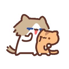 每日水截图