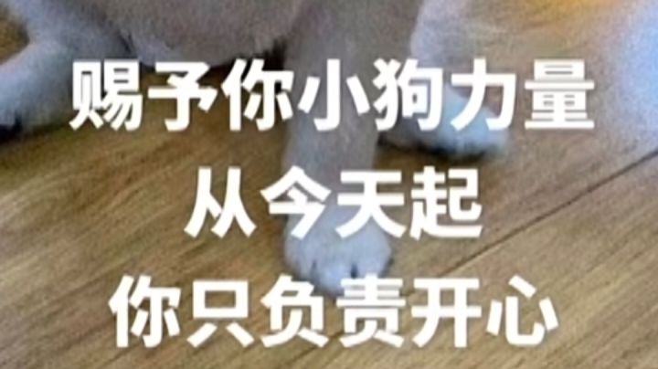 让各位开心一下( ﹡ˆoˆ﹡ )截图