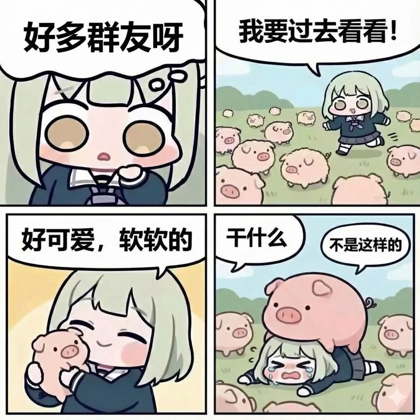 12月哦 2