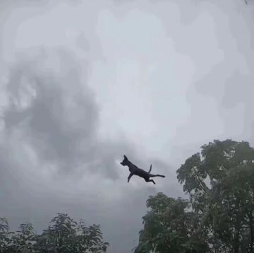 考验产能的新玩法