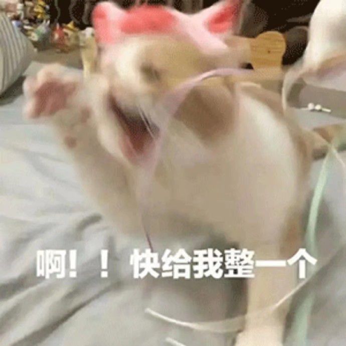 动态图片 1