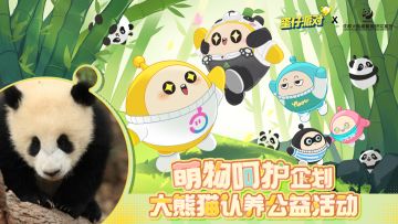 【萌物呵护企划】您有一只国宝大熊猫待认养！