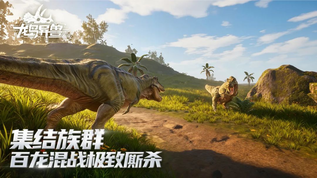 动态图片 10
