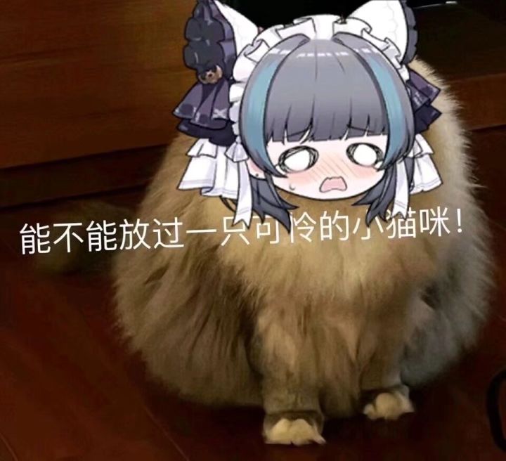 哇达西,已经很久没玩到托拉姆了。截图
