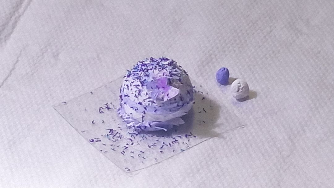 紫罗兰恋🦋 1