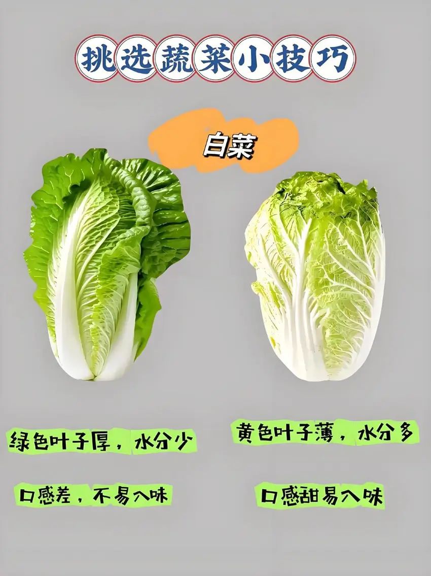 🌟青年大学习|挑选蔬菜小技巧🌟 3