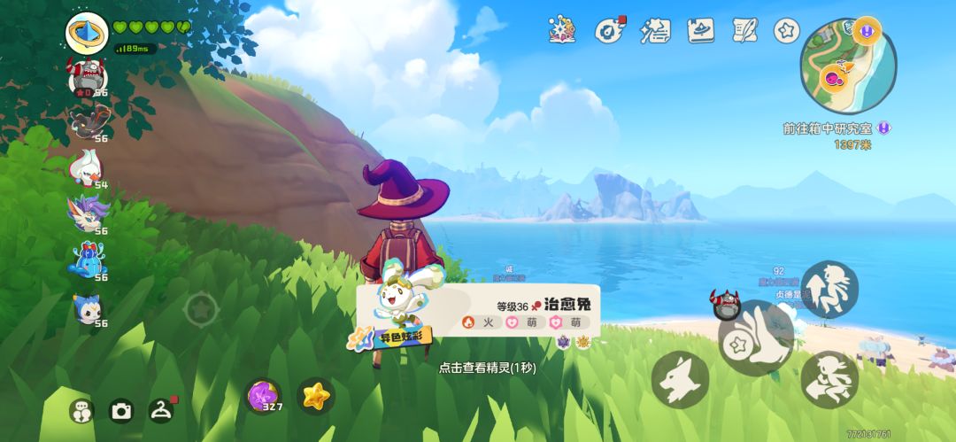 异色兔 1