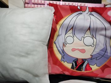 抱枕和亲爱的零