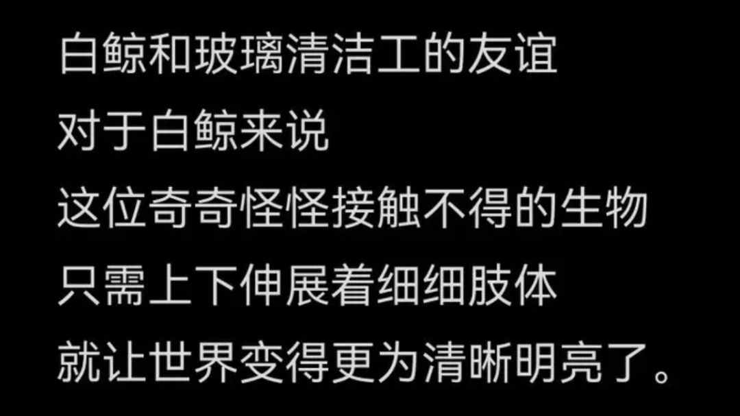 关于“具象的回忆”的总结截图