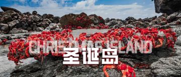 地球明信片 | 你听说过圣诞岛嘛？一个旅行必去的奇妙岛屿