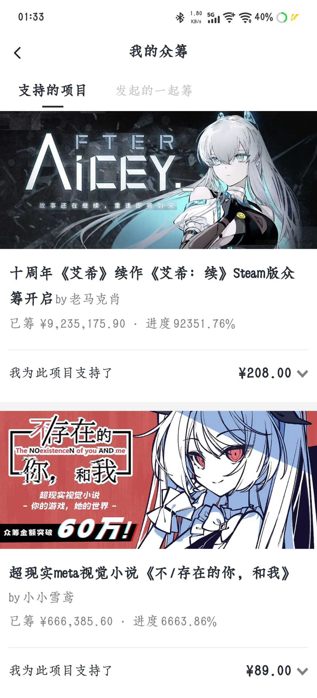 严肃支持 1