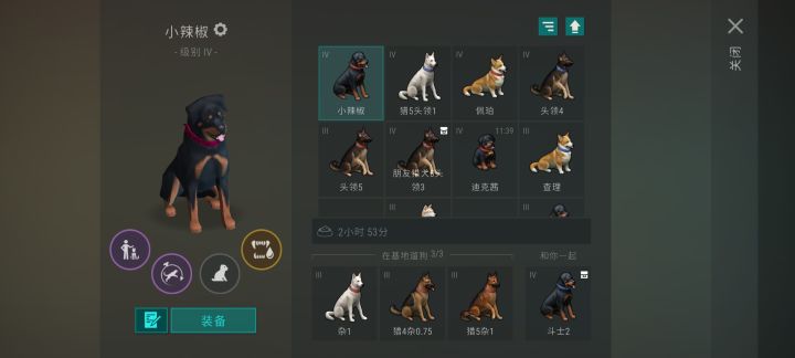一下子两条朋友狗截图