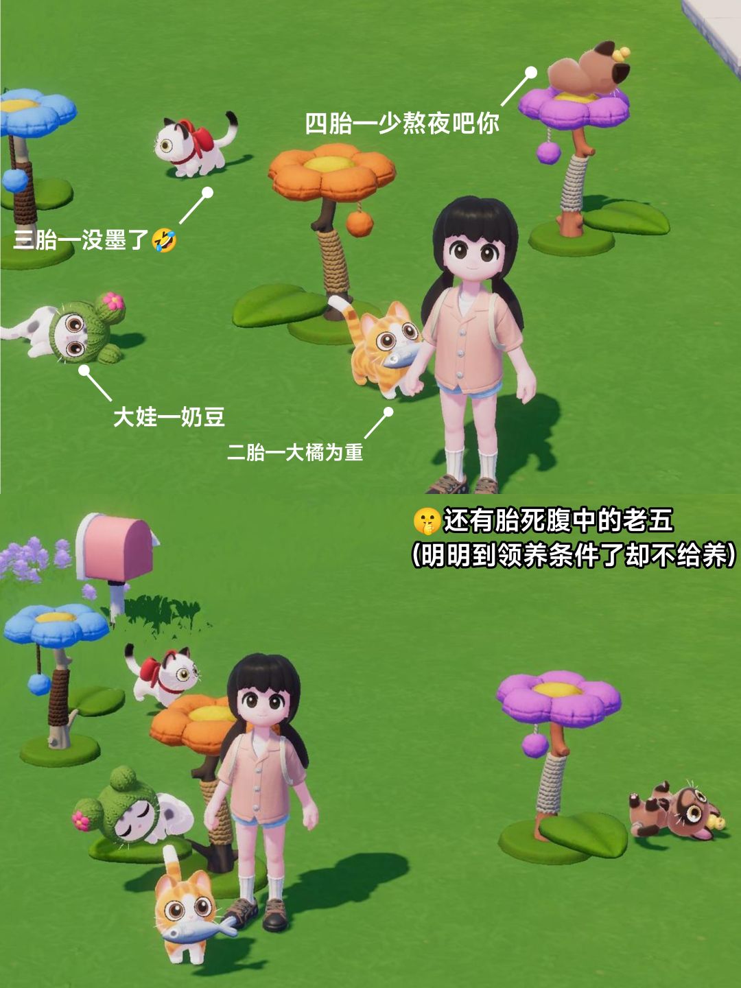动态图片 5