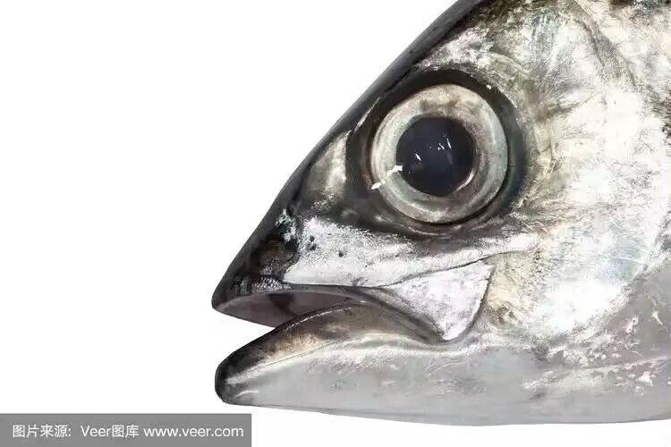 在?你游美工还在不在? 3