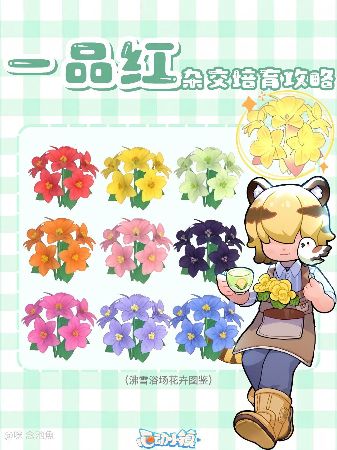 心动小镇一品红杂交繁育攻略 1