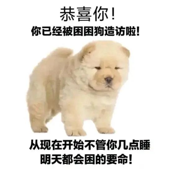大佬们求解 1